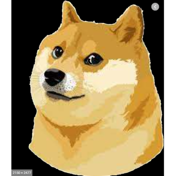 Doge war!