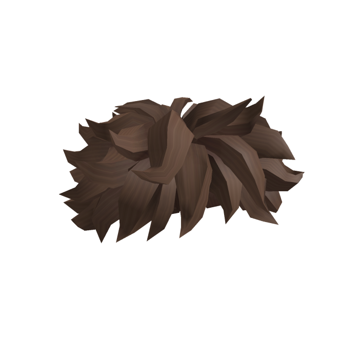 Brown Messy Hair (1.0)