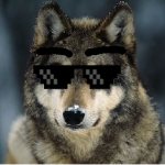 SilverPawStudios