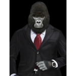 Gorillas groups