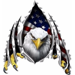 army fan group