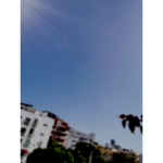 Aesthetic Coconxt