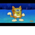 spongebob cat