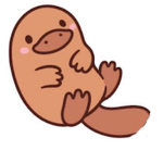 platypus family!