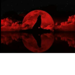 Sky_Wolves
