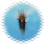 Godspeed