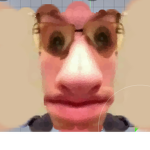 The_turkeys