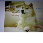EPIC doge fan club cute doges