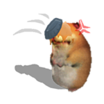 Pied Chomik