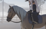 -+-*Silver star equestrian*-+-