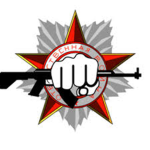 Electric state Spetznaz