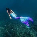 mermaid helpers