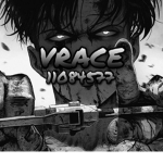 $ VRACE