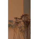 swagg stays 4ever <33
