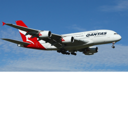 Bobcat airlines's Training place