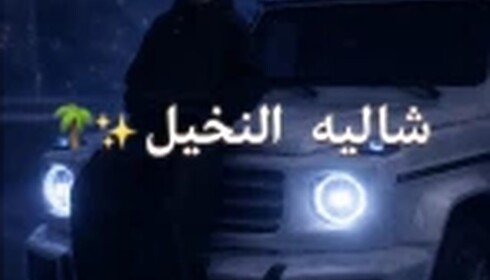 شالية النخيل 🌴❄️