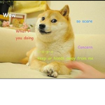 The club of doges