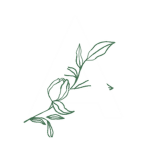 Arven