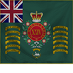 24th Warwickshire ‌Regiment of Foot