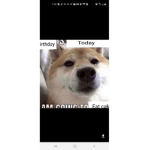 Mario_yo102