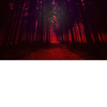 OneSatan's Hate Club :)