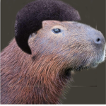 Afro Capybara Clan