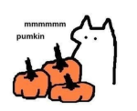 TheXdoggo