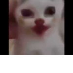 hola amigos losquiero