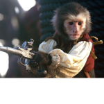 Pirate monke's ship