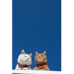 유진이와 친구들