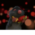 Rat_rat_rat