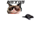 Rats"n"Cats