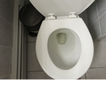Poop White people are poop
