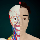 Anatomy 3D