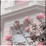 xoxo. a e s t h e t I c. group