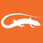 Lizard's games