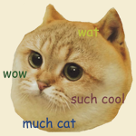 puppy vs cats