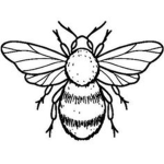 stranger things and dream smp group