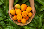 ~Mangoes Fam~