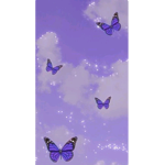 Les papillonslea stars