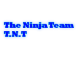 The Ninja team