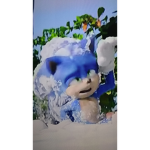 sonicfansonly
