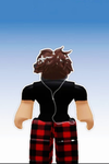 רובלוקס ישראל-roblox Israel