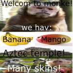 MonkeTopilis