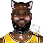 LeBron James Fan Community