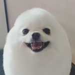 Techniux's Group