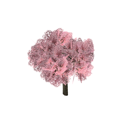 Pbr Sakura Tree With Falling Leaves Relax Cozy