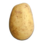 Potato Studios 2023