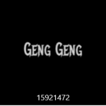 DHGengGeng