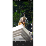 Really bad monkeys